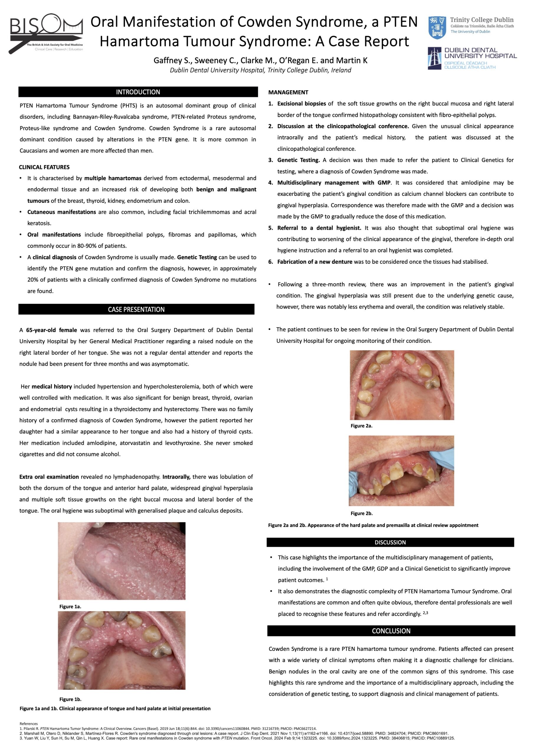 BISOM-SG-Poster-FINAL